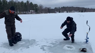 Ahvenen pilkintää pystypilkillä - Ahvenen kalastus - JASU - Pystypilkki - Ahven