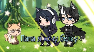 🐿️Папа я хочу белку🐿️•meme• ||Оригинал|| °Gacha life°