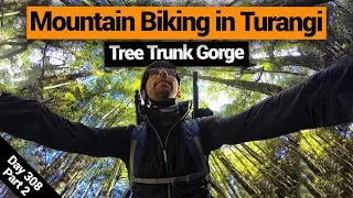 🚵 Mountain Biking in Turangi (Tree Trunk Gorge) – New Zealand's Biggest Gap Year