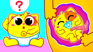 Why Do We Have Belly Buttons for Kids | Funny Songs For Baby & Nursery Rhymes by Toddler Zoo