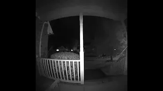 Ring doorbell camera captures lightning strike a tree in Suffolk