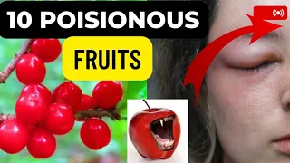 10 Dangerous fruits in the world| 10 Poisonous Fruits that can kill you