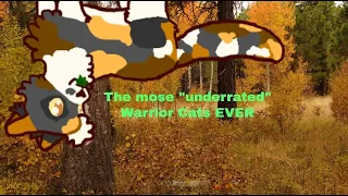 ||The most ''Underrated" Warrior cats Ever!||