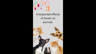 Three unexpected effects of music on animals #shorts