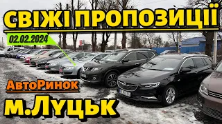 ОГЛЯД РИНКУ м.ЛУЦЬК✅ЦІНИ✅НАЙБІЛЬШИЙ ВИБІР АВТО✅2024рік