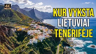 Kelionė į Tenerifę. Kur lietuviai leidžia laiką šiaurės Tenerifėje