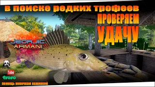 Поиски редких трофеев!Проверяем мою удачу . Русская Рыбалка 4. russian fishing 4