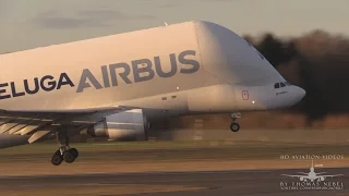 ✈ Airbus Beluga - SUPER TRANSPORTER - A300-600ST