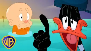 Looney Tunes po polsku 🇵🇱 | Daffy umie naprawić wszystko (czyli nic) | WB Kids