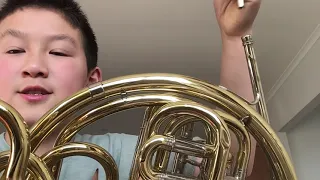 B Appigo French Horn