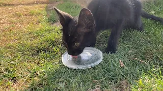 She is hungry and so much thirsty