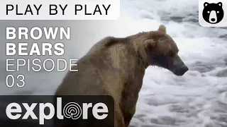 Brown Bear Play By Play - Ranger Mike Fitz  - Katmai National Park - Episode 03