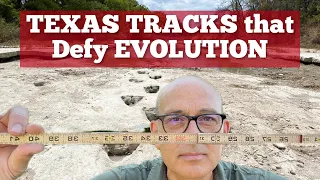 Exposed Dinosaur Tracks That Defy Evolution - Paluxy River Texas