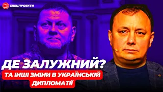 ГАЙ-НИЖНИК: Де Залужний та інші секрети української дипломатії