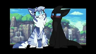 Top 22 Warriors Cats animation meme. Pt.1