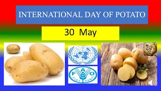 INTERNATIONAL DAY OF POTATO - 30  May 2024