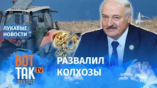 Лукашенко нельзя доверить даже коров / Лукавые новости