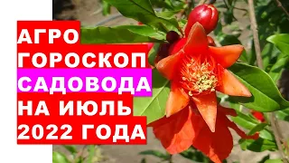 Агрогороскоп садівника на липень 2022 року