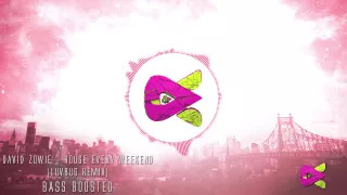 David Zowie - House Every Weekend (LuvBug Remix) BASS BOOSTED