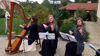 Johann Pachelbel- Canon in D. Ivanna Hetto (Harp) and strings quartet