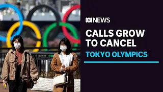 Japan extends COVID-19 state of emergency as calls grow to cancel Tokyo Olympics | ABC News