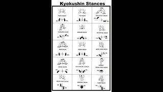 Kyokushin Karate Basic Stances (Dachi)