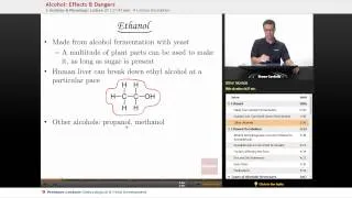 "Alcohol: Effects & Dangers" | Anatomy & Physiology with Educator.com