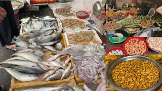 Best VietNam Street Market At Afternoon Hoa Binh Sea Food, Meat, Tofu, Cucumber pickle, Spring rolls