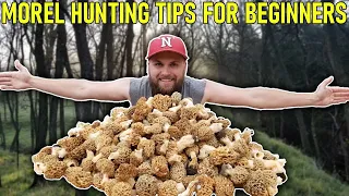 MOREL Mushroom Hunting Tips for BEGINNERS | Everything YOU Need To Know!