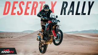 Wüstentest extrem! Ducati DesertX Rally 2024 - Erster Test