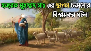 হজরত মুহাম্মদ সাঃ এর ছাগল চড়ানোর বিস্ময়কর ঘটনা || রাসুল সাঃ এর শিশু কালের ঘটনা || Hazrat Muhammad SA