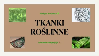 #12 Tkanki roślinne - podział i charakterystyka 🎋 matura z biologii 🌱 powtórka biologia rozszerzona