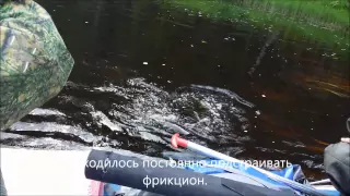 Подломка Щука Трофей