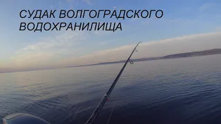 Поиск судака после схода льда.Волгоградское водохранилище.Открыл сезон!