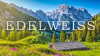 Edelweiss | The Classic Sound of Music Song