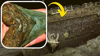 Experts Made A Breathtaking Discovery Among The Titanic Wreckage