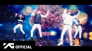 WINNER - 'MILLIONS' M/V