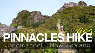 BEST HIKE IN THE COROMANDEL NEW ZEALAND ? | twoplustwocrew