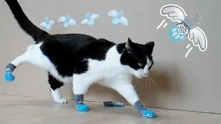 Flying Socks