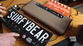 Surfy Industries: SURFYBEAR REVERB - CLASSIC | METAL | COMPACT