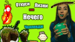 ОТКУСИ, ЛИЗНИ или НИЧЕГО ЧЕЛЛЕНДЖ