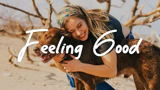 Feeling Good ✨ Just a happy playlist to make your day happy | Acoustic/Indie/Pop/Folk compilation