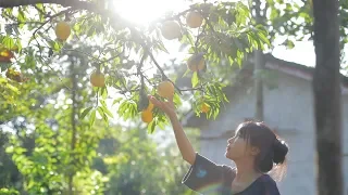 Hang a Quaint Lantern that Perfectly Befits the Peach Dishes on the Table. | Liziqi Channel