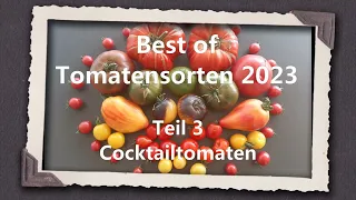 Best of Tomaten 2023 Teil 3 - Cocktailtomaten