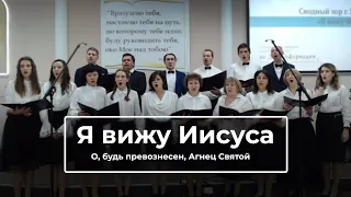 Я вижу Иисуса - О, будь превознесён, Агнец Святой!