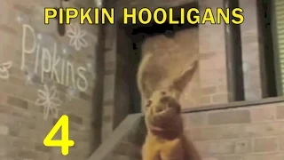 Pipkins Hooligans (1980 Intro) - Episode 4 - Hare On Film Segment: "Toast Of The Town"