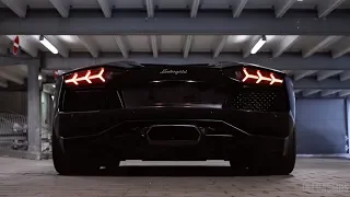 Lamborghini Aventador Roadster: Cold Start, Revs, Loud Sound
