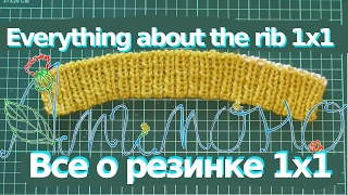 Everything You Always Wanted to Know About Ribbing 1 x 1 (But didn't know where to ask)