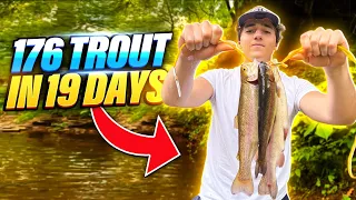 How I Caught 176 Trout in 19 Days (Best Trout Fishing Lures, Techniques, Rod, Spots)