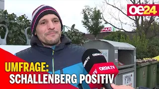 Umfrage: Schallenberg ist positiv